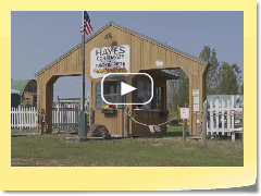 Hayes Corn Maze to open this weekend