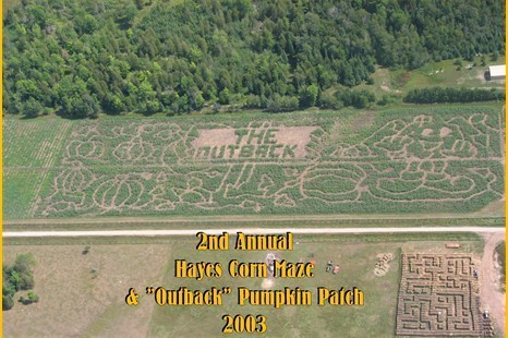 2003cornmaze