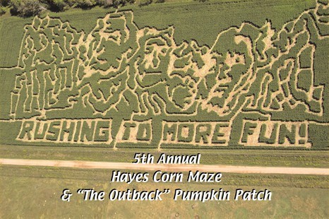 2006cornmaze