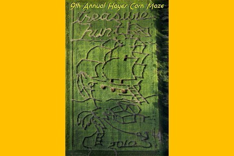 2010cornmaze