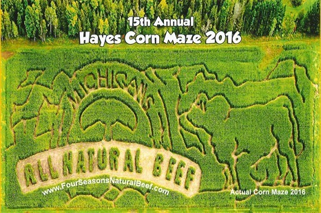 2016cornmaze