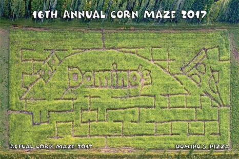 2017cornmaze