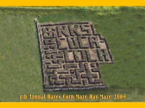 2005haymaze