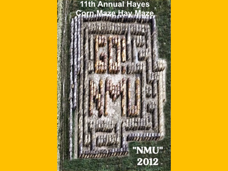 2012haymaze