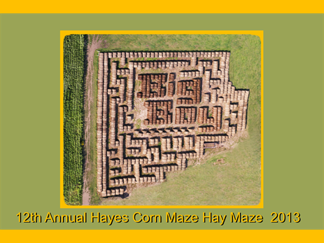 2013haymaze