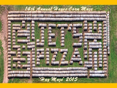 2015haymaze