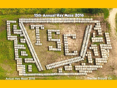 2016haymaze